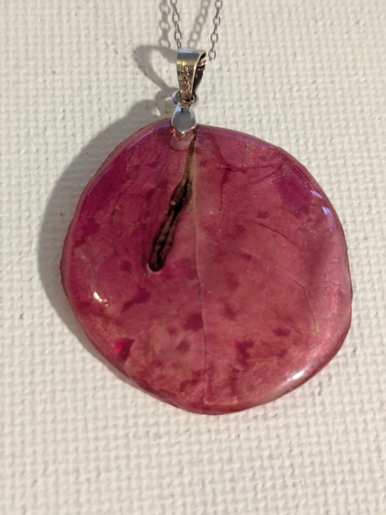 Hoja de Buganvilla